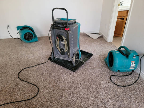 Best Professional water damage repair  in Southmayd, TX