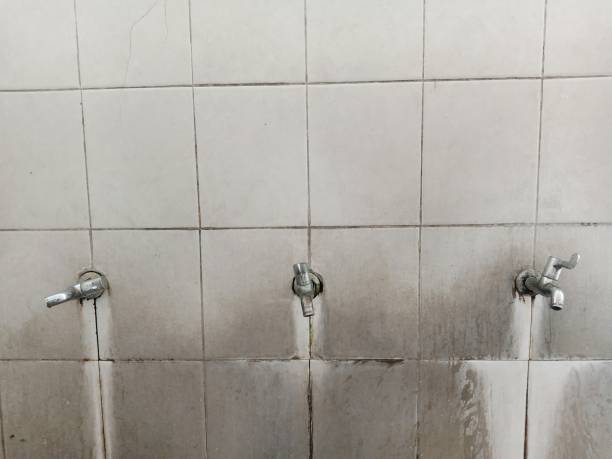 Best Ceiling water damage repair  in Southmayd, TX