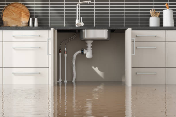 Best Water damage contractors near me  in Southmayd, TX
