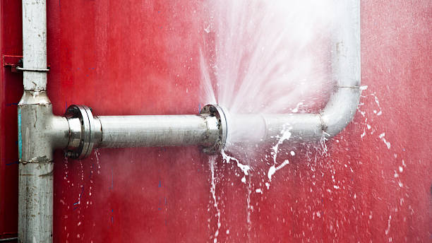 Best Flood restoration services  in Southmayd, TX